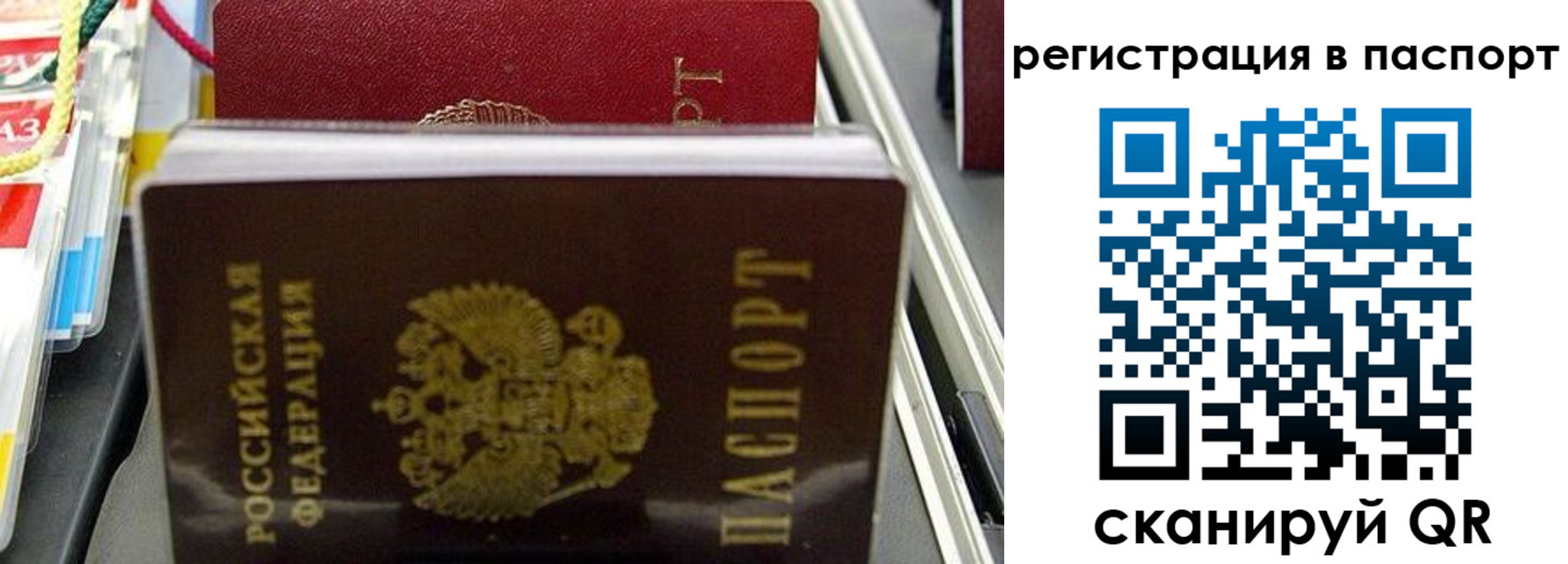 прописка для школы в Сухиничи